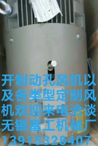 各類型號定制風(fēng)機
